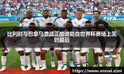 半岛bob·官方网站